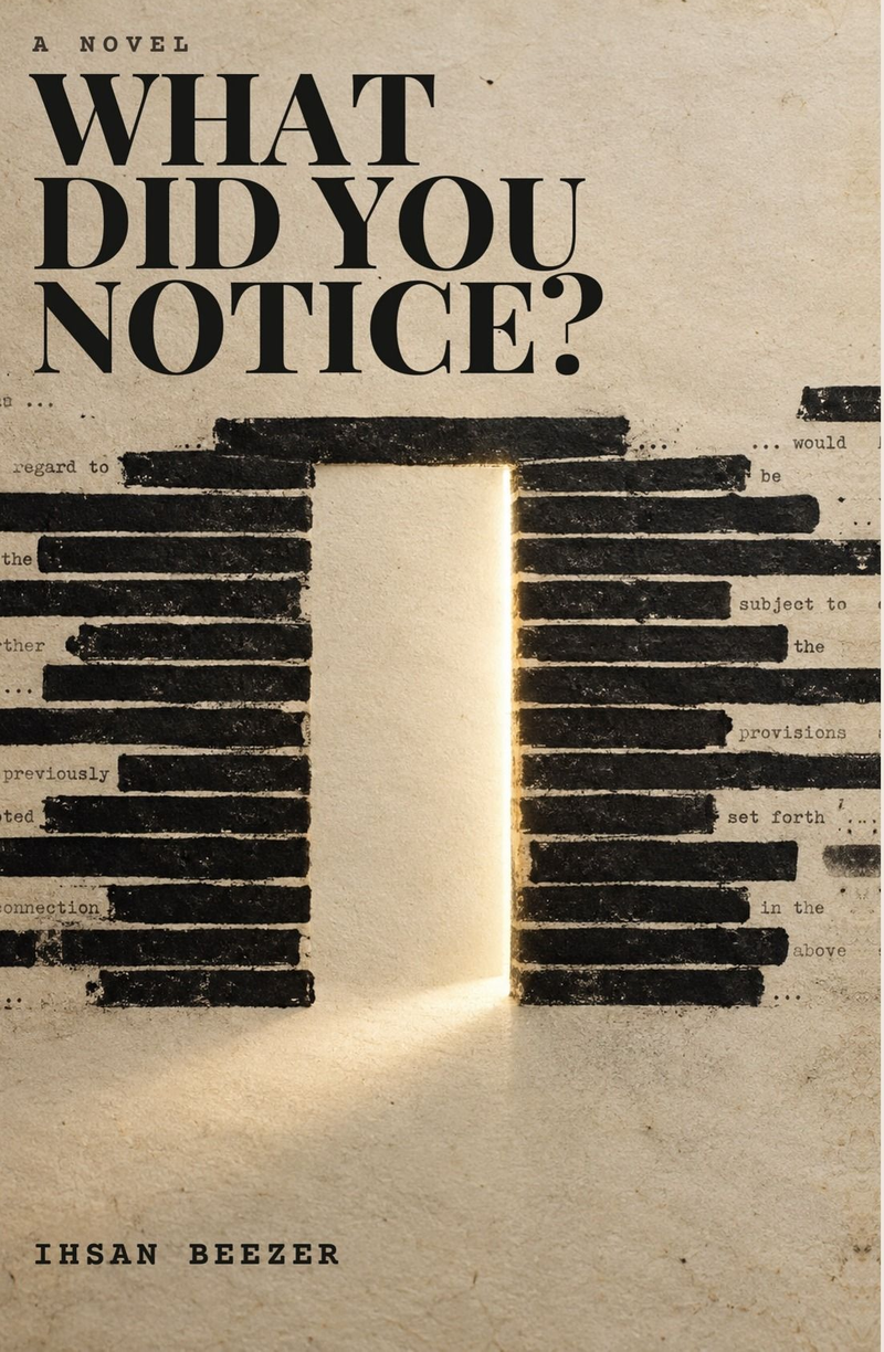 What Did You Notice? cover